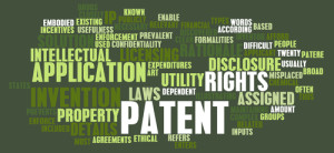 Significant Delays in Patent Term Adjustment. What Does It Mean by Silvia Salvadori, PhD.